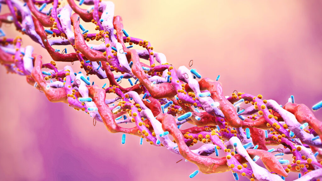 A close up of collagen triple helix molecules