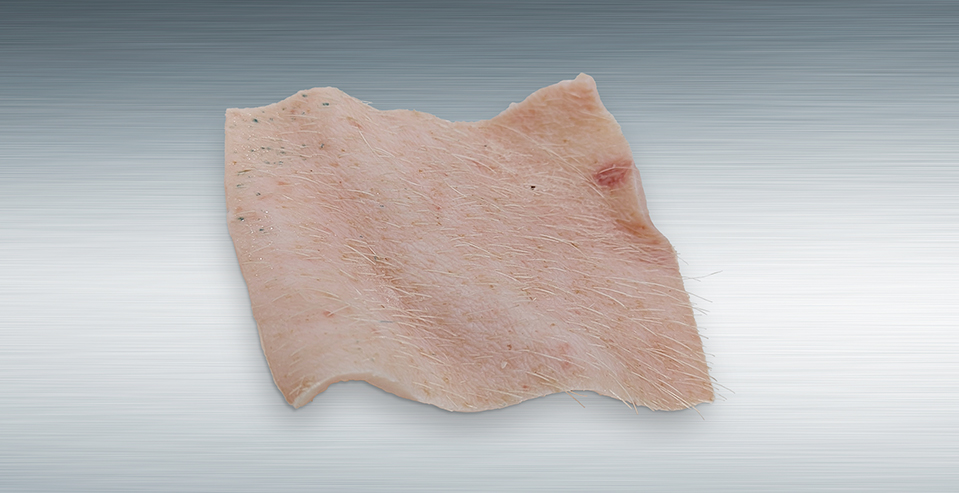 SSR-Product-Dermal-Tissue-2