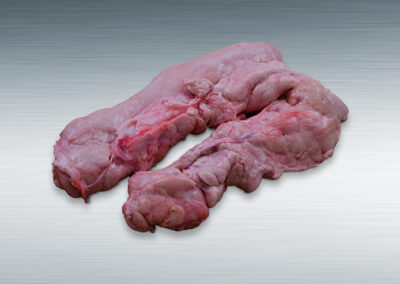 Porcine Pancreas