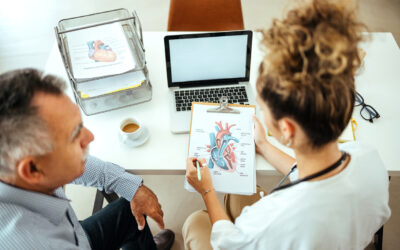 Porcine Circulatory Systems: A Key Model for Cardiovascular Research