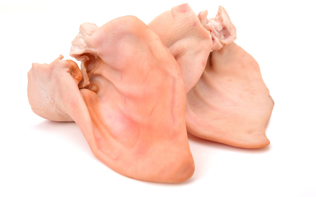 Custom Porcine Tissue Specifications: How to Order the Right Material for Your Study