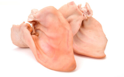 Custom Porcine Tissue Specifications: How to Order the Right Material for Your Study