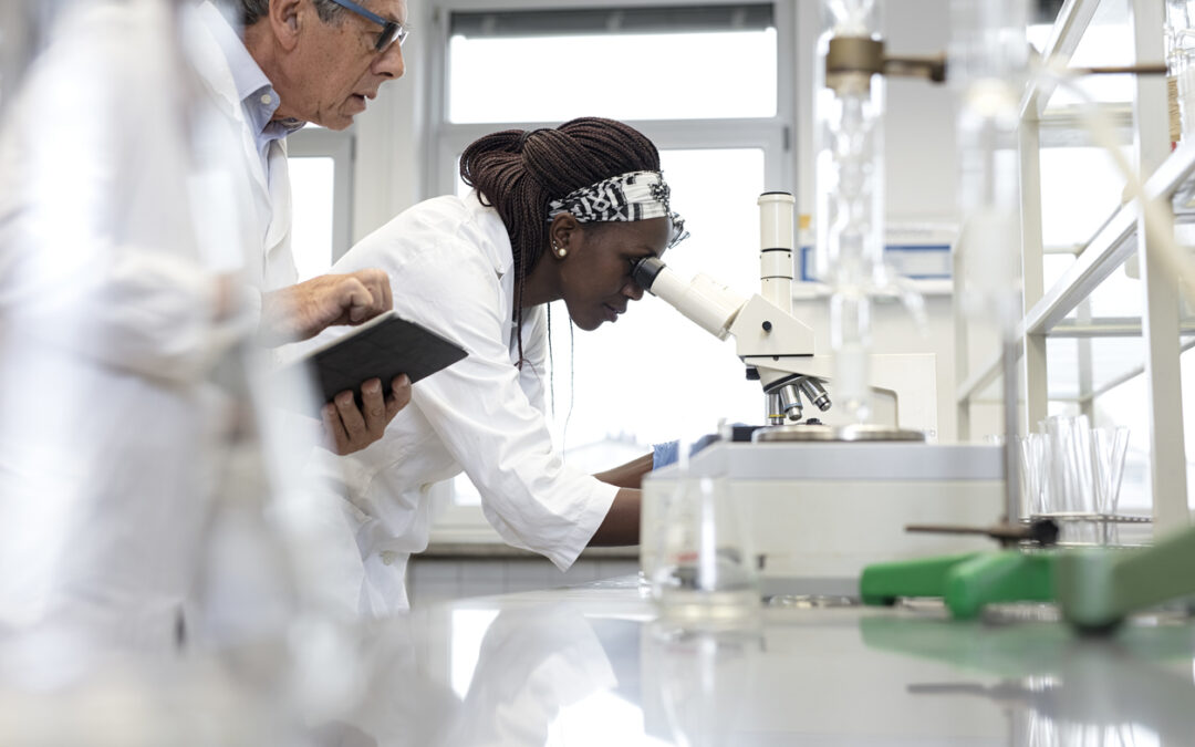 Scientists working in a laboratory researching porcine materials