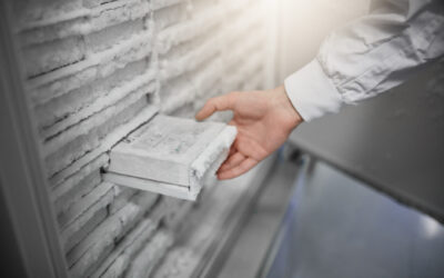 How Storage & Handling Impact Porcine Tissue Quality