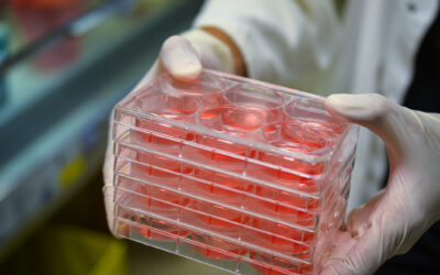 How Consistency in Tissue Supply Reduces Variability in Research Results