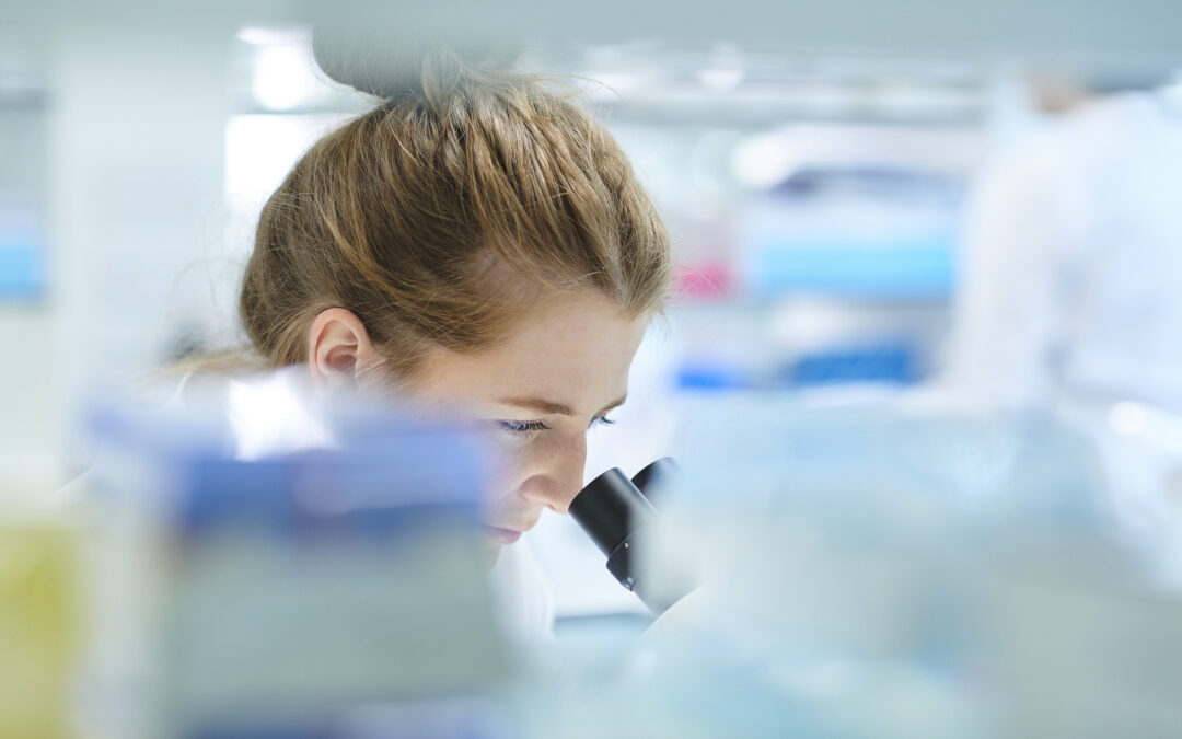 How to Choose a Porcine Tissue Supplier for Regulated Research and Medical Device Development